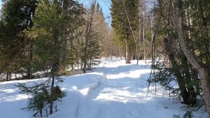 Белокуриха. Зимний поход на г. Синюху 1379 м от Таежной заимки "Лесная сказка", через "13-й кордон"