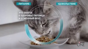 Реклама Purina ONE  " Кормите правильно "