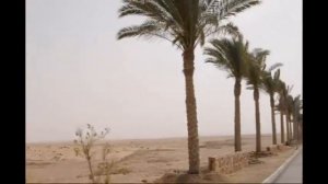 Sentido Oriental Dream Resort. Marsa Alam