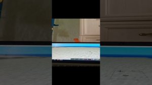 ловушки в Майнкрафте