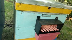 КАК СОБИРАТЬ ПЫЛЬЦУ | ПТП 2019