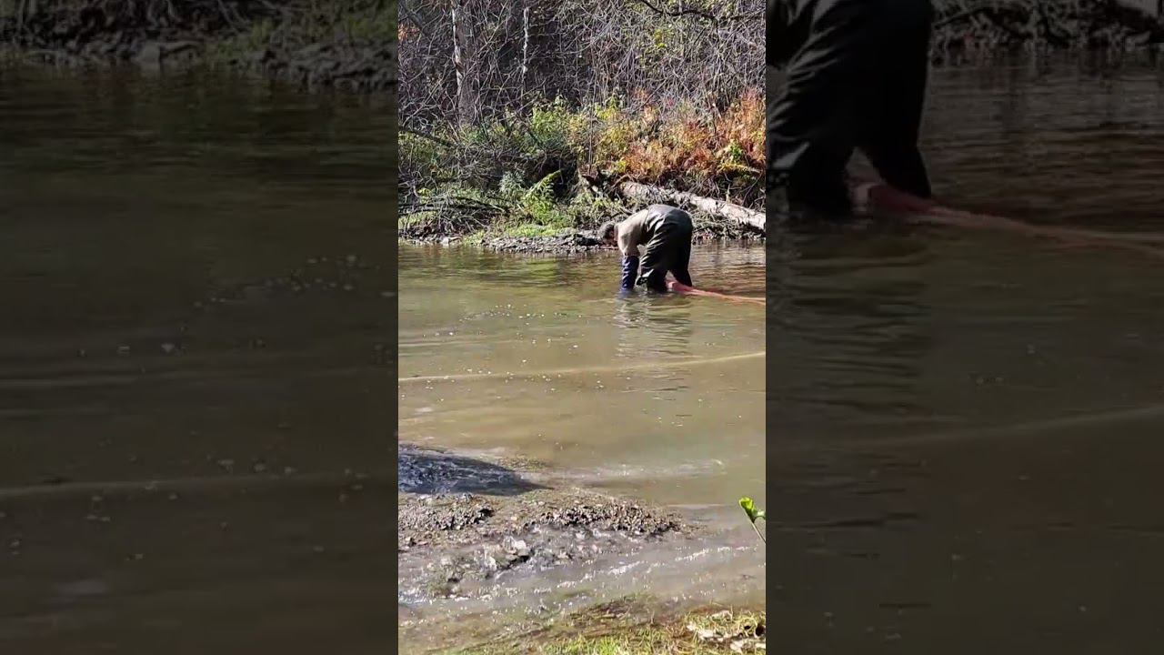Золото смотреть онлайн
