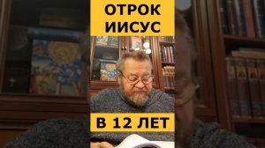 Отрок Иисус в 12 лет. о. Олег Стеняев