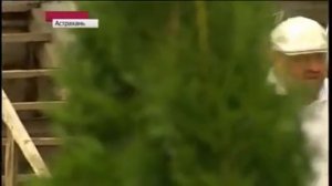 Воскресное Время  (30.06.2013)