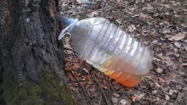 Природа конца марта смотреть онлайн