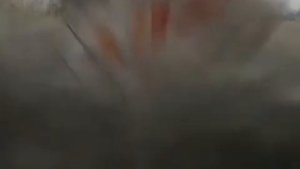 Как избавиться от камышей?