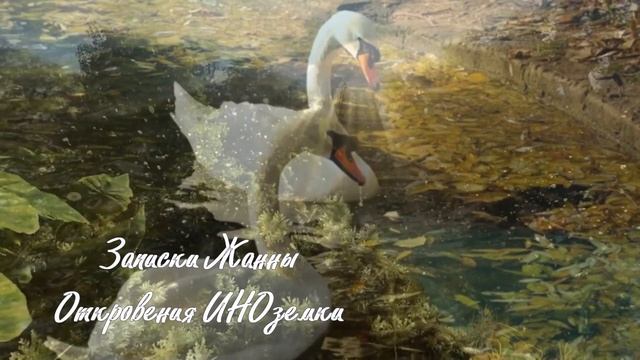 Лебедь и вепрь. смотреть онлайн