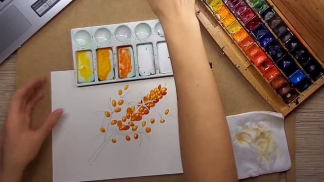 МК облепиха акварелью смотреть онлайн