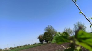 Неубиваемый салат. Засухоустойчивая клубника и .mp4