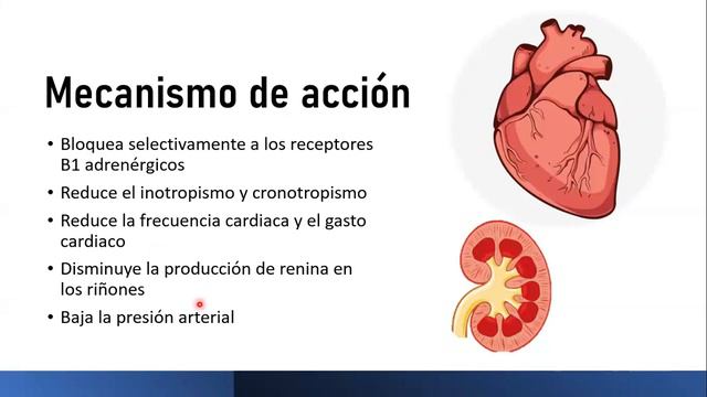 🔴 BISOPROLOL | PARA QUÉ SIRVE, EFECTOS SECUNDARIOS, MECANISMO DE ACCIÓN Y CONTRAINDICACIONES смотреть онлайн