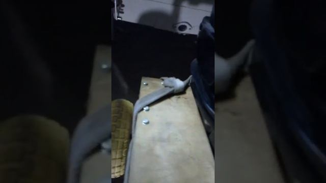 Обновление тележки лодочного мотора.