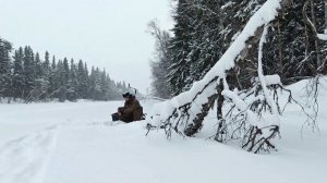 РОДНОЙ СТРИМ. ЗДРАВСТВУЙТЕ ДОРОГИЕ МОИ. ЧТО СЛУЧИЛОСЬ. ПЛАНЫ. ОХОТА. РЫБАЛКА. ТАЙГА. БАЛАГАН