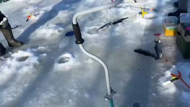 Зарыбление форели 300кг + 50 кг бесплатно смотреть онлайн