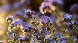 Узнав семейную тайну жены, муж с любовницей пробрался в дом. Но они даже не догадывались…