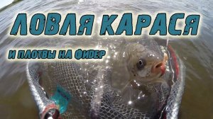 Ловля карася и плотвы на фидер