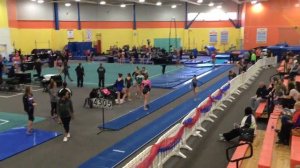 Level 9, 2017 Region 7 Regionals, Vault