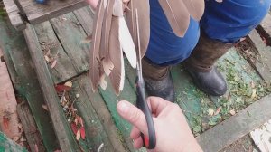 Как я подрезаю крылья индоуткам