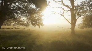 Мистическая история на ночь Работа в морге,Глова 1