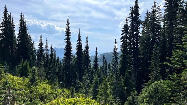 Второе Соборное Послание Святого Апостола Петра 1 глава смотреть онлайн