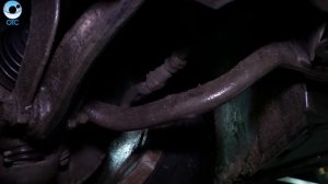 "Движ'ОК": развал-схождение