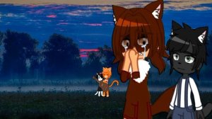 @simb Какие страсти?❤️ #мурсдей #симба #бенчик #симбочкапимпочка #тигра #кошечкамурсдей #любовь?