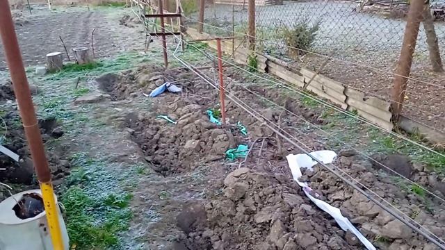 укрываем виноград на зиму смотреть онлайн