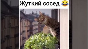 Жуткий сосед