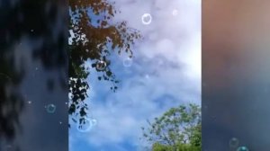 Любовь монаха(1)