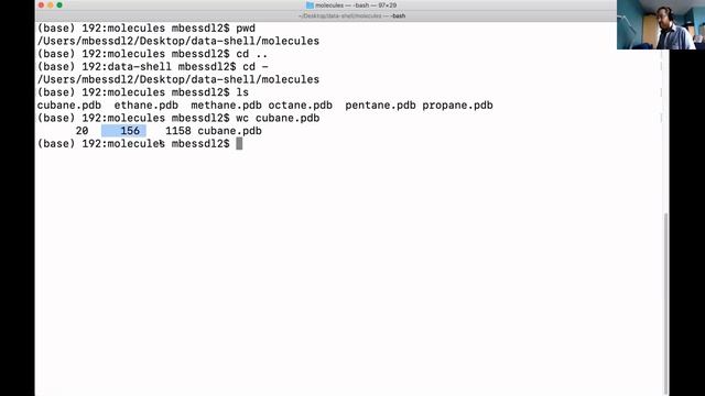 Python Software Carpentry workshop 01 March 2021 - Automating Tasks ...