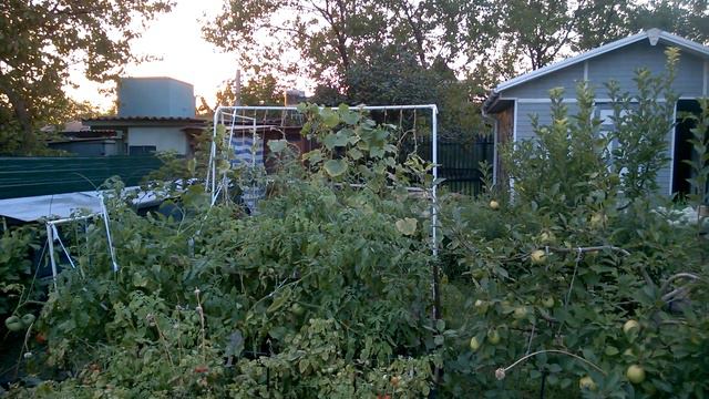 Уже не один на даче. смотреть онлайн