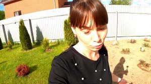 Дизайн участка | Всё своими руками | Туи на участке | Как мы живём за городом |