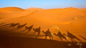 Дмитрий Маликов - выпью до дна