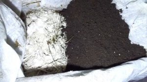 Адаптация червя к навозу/Разведение червя дендробена