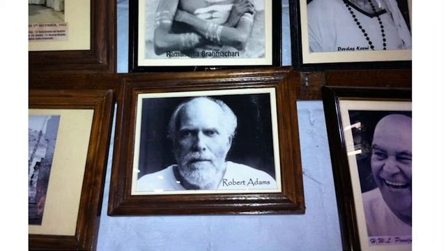 232 НЕ ВЫ НО Я Собрание сатсангов Роберта Адамса (без музыки) смотреть онлайн