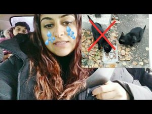 ВЫКИНУЛИ КОТЯТ, ОДИН ПОГИБ, А ВТОРОЙ ВСЮ ЗИМУ, ДЛЯ СИХ ПОР НА УЛИЦЕ