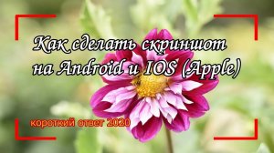 Как сделать скриншот экрана на Android и IOS (Apple)