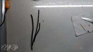 Как за 4 дня выросли детки на срезанных цветоносах! Цитокининовая паста , как использовать.