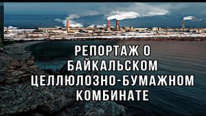 Репортаж о БЦБК