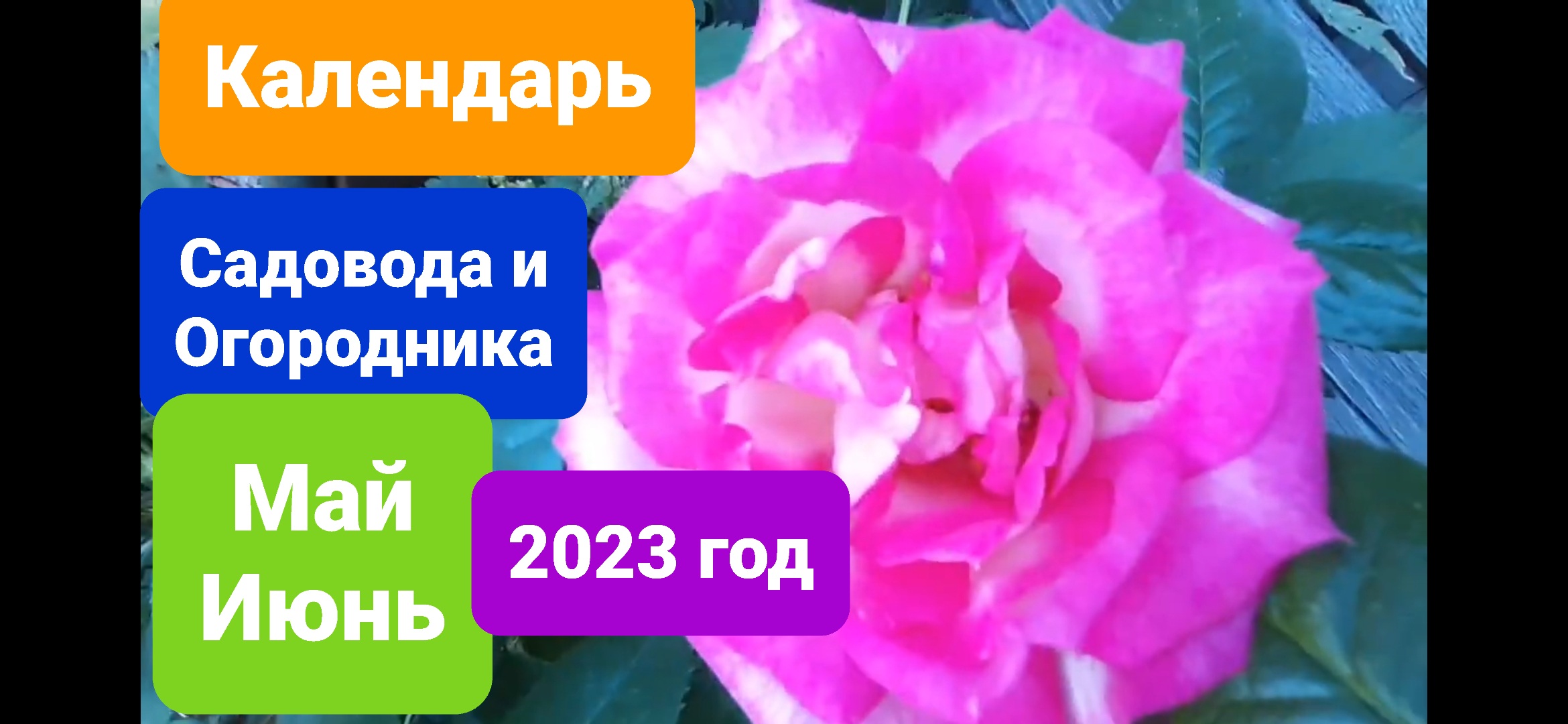 Посевной календарь на май-июнь 2023 г. Приволжский округ, Урал и Западная Сибирь