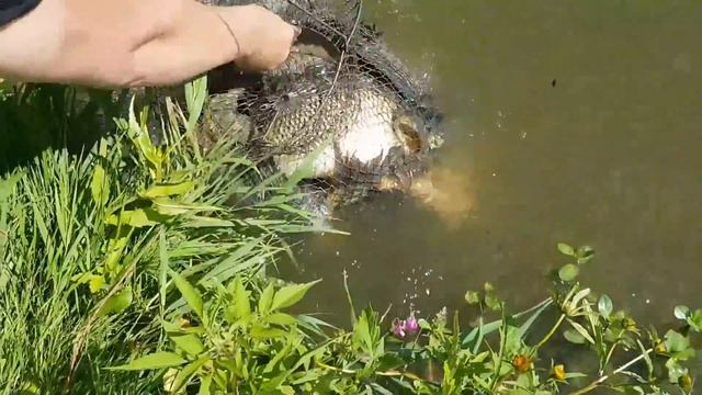 31 июля 2021 г. смотреть онлайн