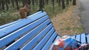 Санаторий "Карагайский бор"