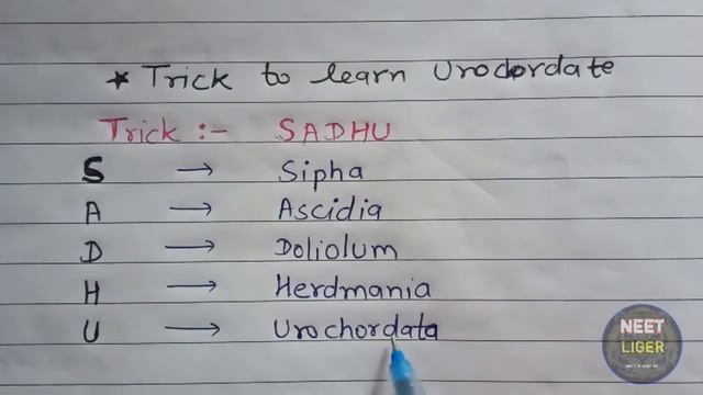Trick to remember examples of Urochordates?? Animal Kingdom Mnemonics смотреть онлайн
