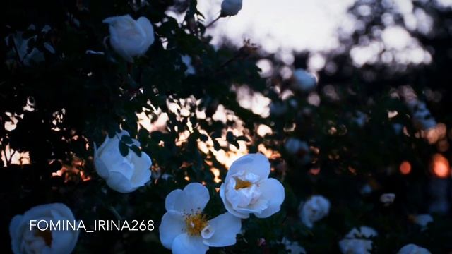 Николай Алексеевич Заболоцкий «Некрасивая девочка» смотреть онлайн