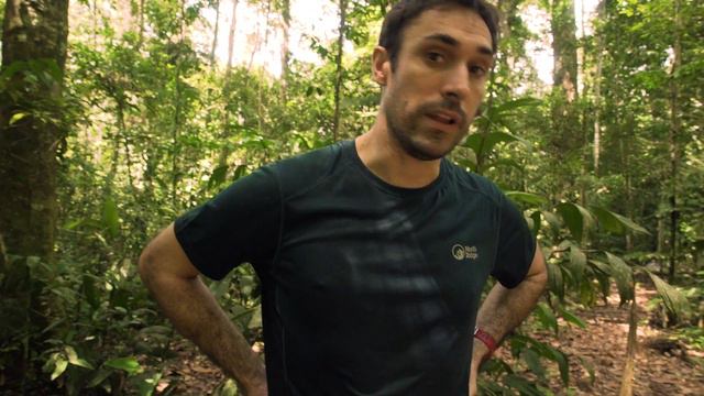 AmazonCam Tambopata Project смотреть онлайн