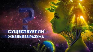 ▶️ Существует ли жизнь без разума?