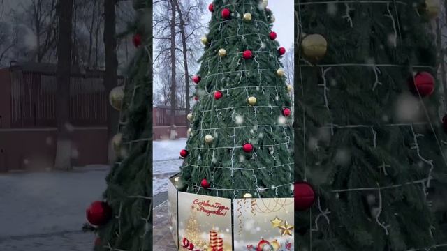 Новый год в парке #новыйгод