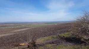 приспособления для корчевания деревьев