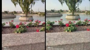 Redmi Note 10 Vs Redmi Note 10 pro Camera test | Redmi Note 10 vs Redmi Note 10 pro Camera Review