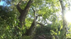 Каменное озеро. Брошенная деревня. Ночевка в доме.(1 серия)