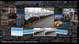 Мираторг запустил первую очередь овцеводческого комплекса в Тульской области